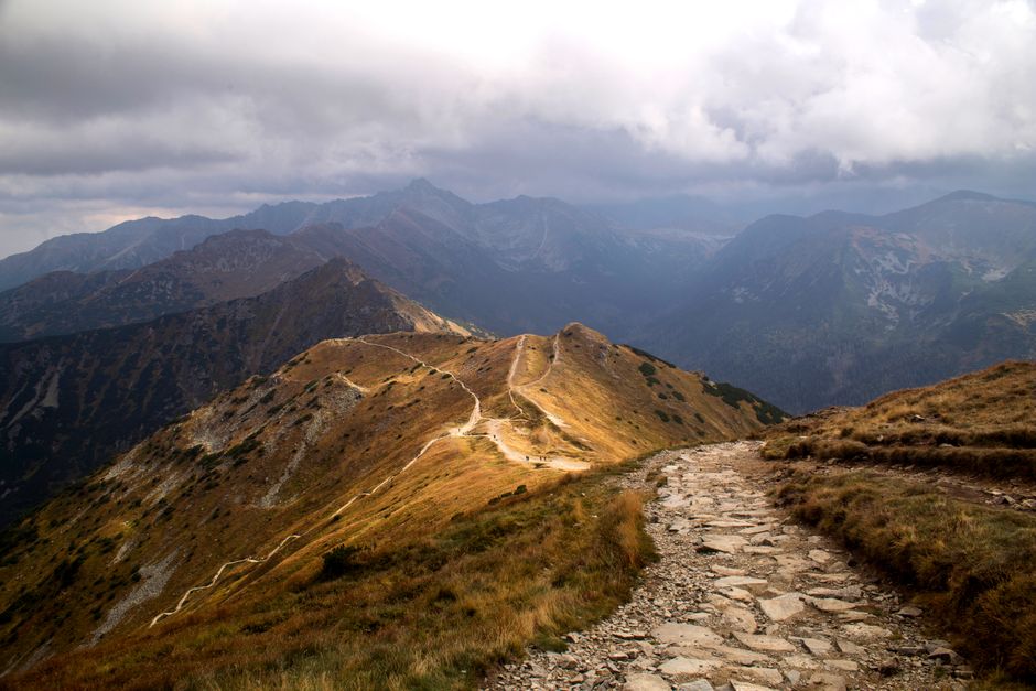 A Step-by-Step Look at The Ordinary Virtues Of Walking, the Honest Way