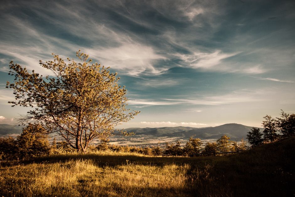 Care, Compassion And The People Around Us in Your 40s, 50s and Beyond, Made Simple