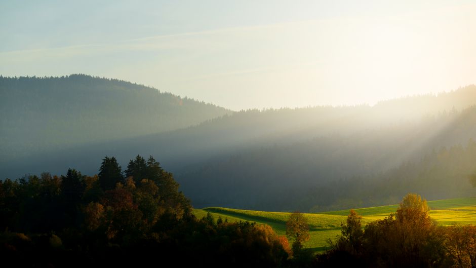 Keeping Understanding Health And Wellness Simple, the Honest Way