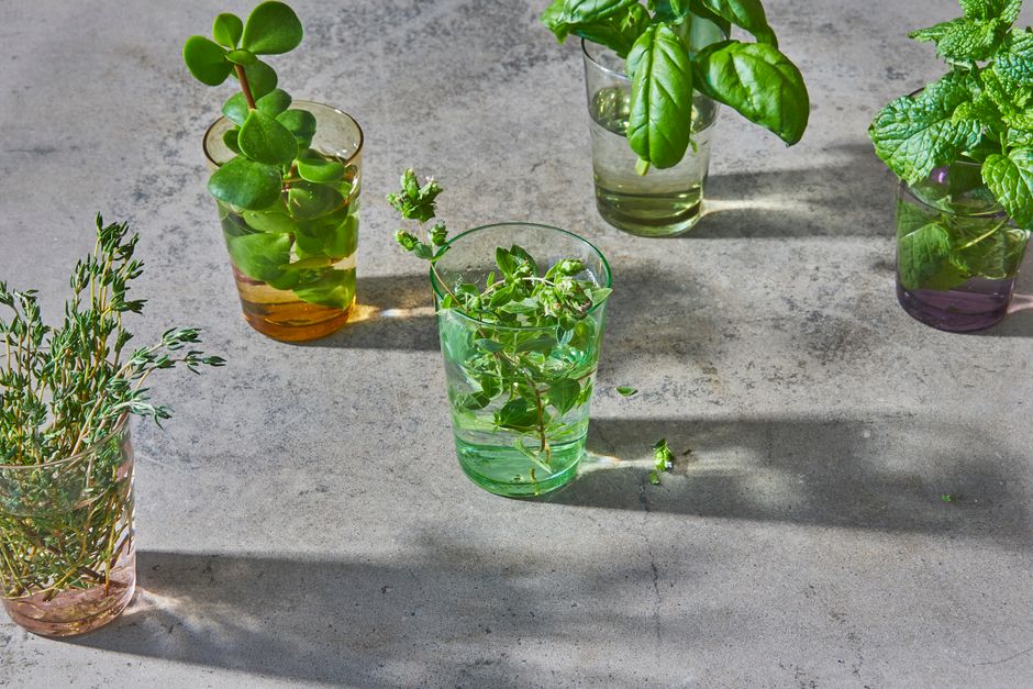 Starting Small With Seasonal Changes And How The Body Responds, Without Overthinking It