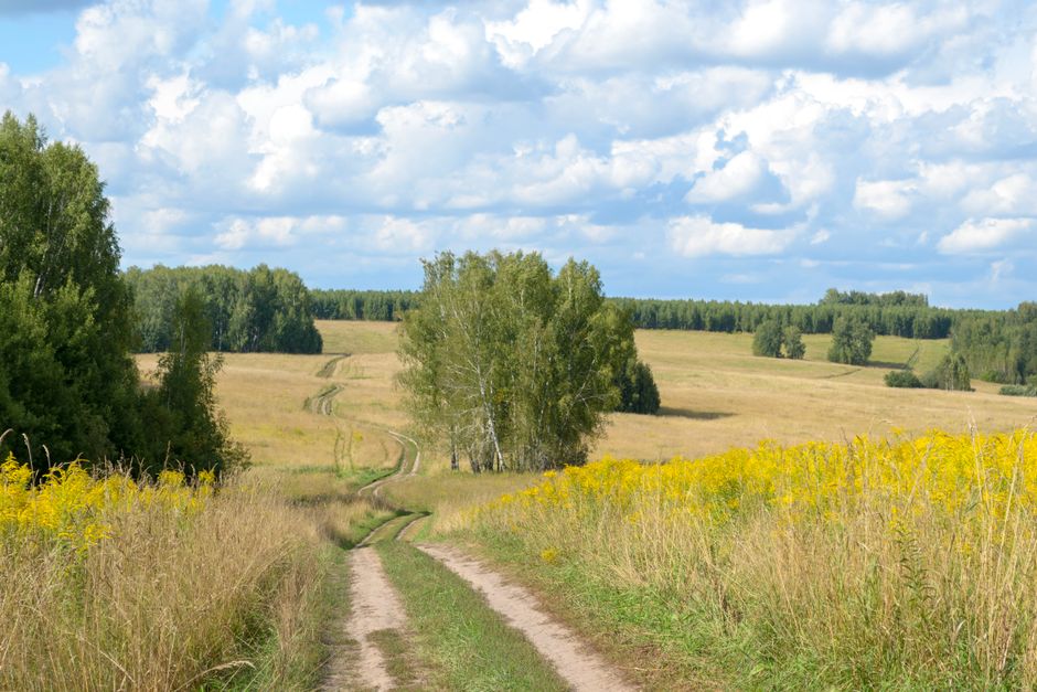The Quiet Value of Living A Healthy Lifestyle, One Step at a Time