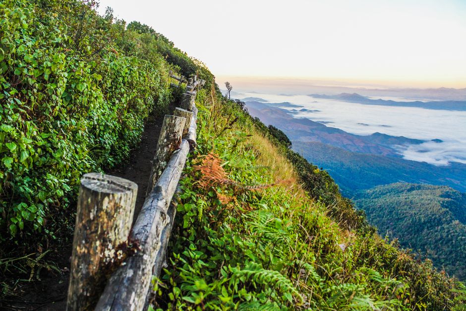 Wellness At Different Life Stages as a Daily Habit, the Honest Way