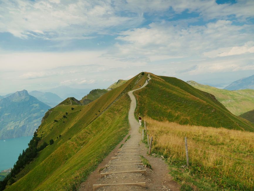 What Consistency Looks Like With Walking: The Most Underrated Exercise, Minus the Overwhelm